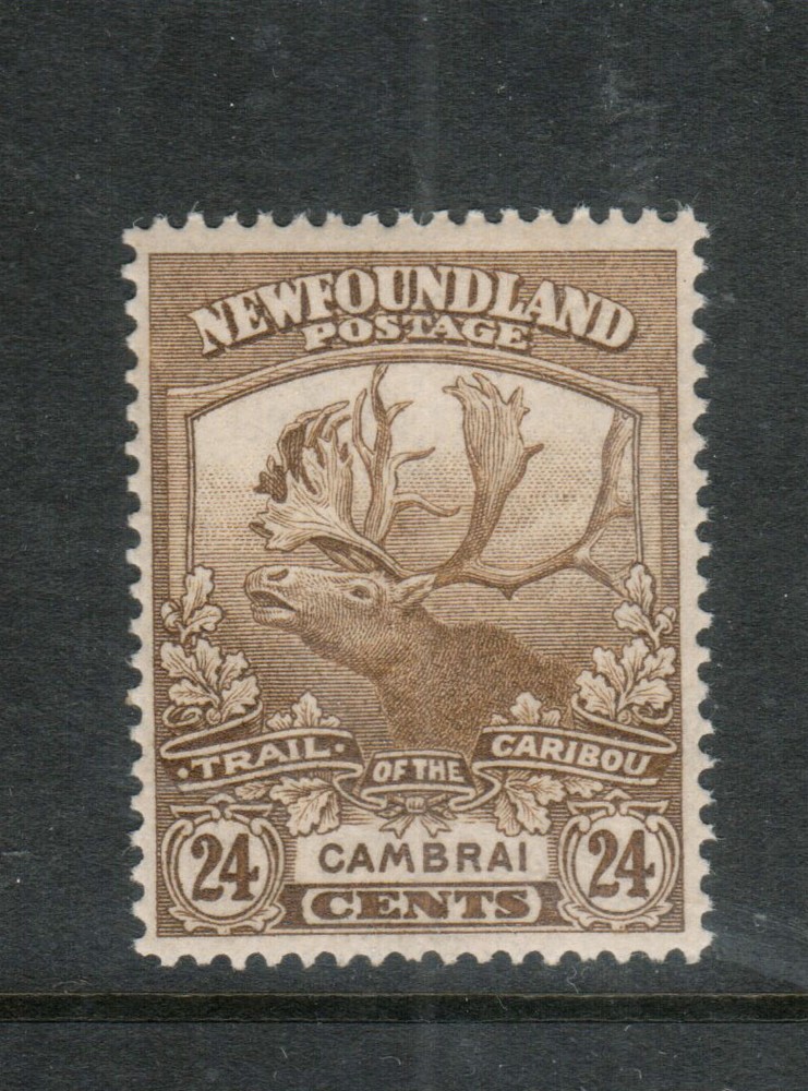 Newfoundland #125 Very Fine Never Hinged