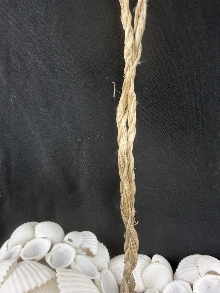 Heart-Shaped Genuine SeaShell Wall Room Decoration Decor