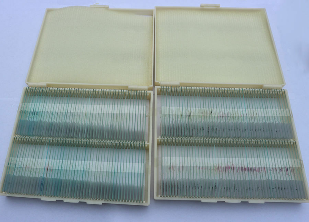 Prepared Microscope Slides Specimen Glass Set with Plastic Storage Box & Label