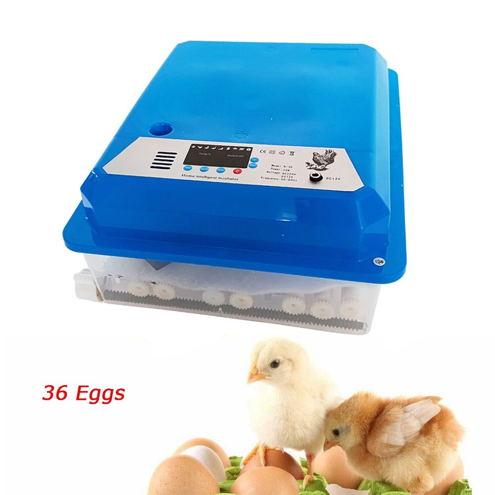 Egg Bird Incubator 36 Eggs Intelligence Poultry Hatcher Breeder Drawer Type 110V