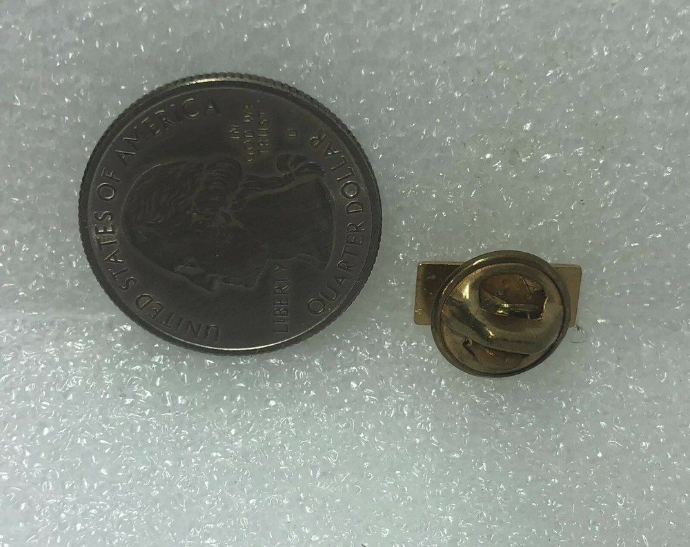 McGee Political Pin