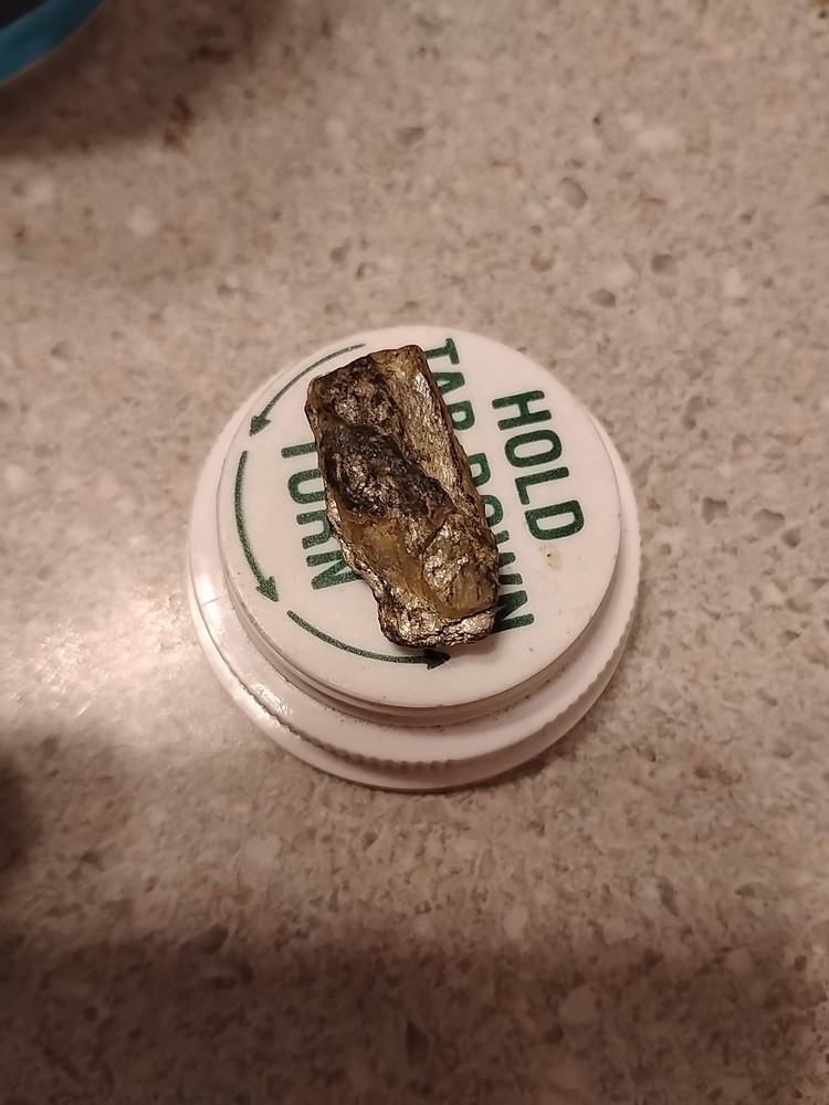 Native Platinum Nugget W/Quartz