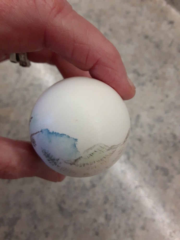 Oriental Art Painted Egg & Base Artist Signed China