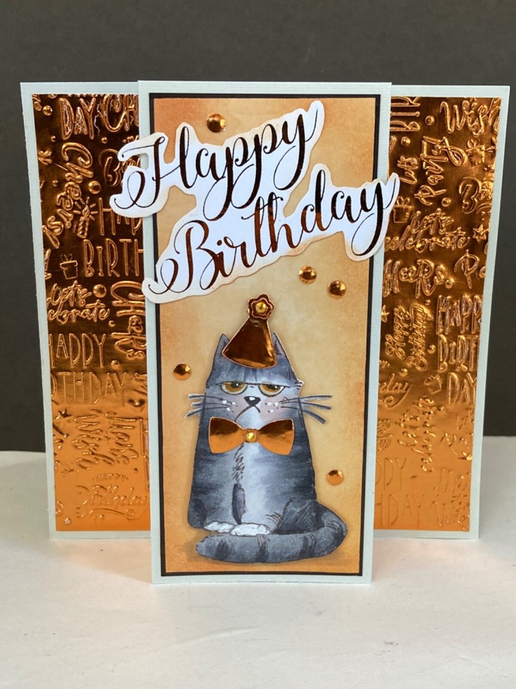 BIRTHDAY - Katzelkraft Grumpy CAT - handmade POP-UP DISPLAY card by DEE