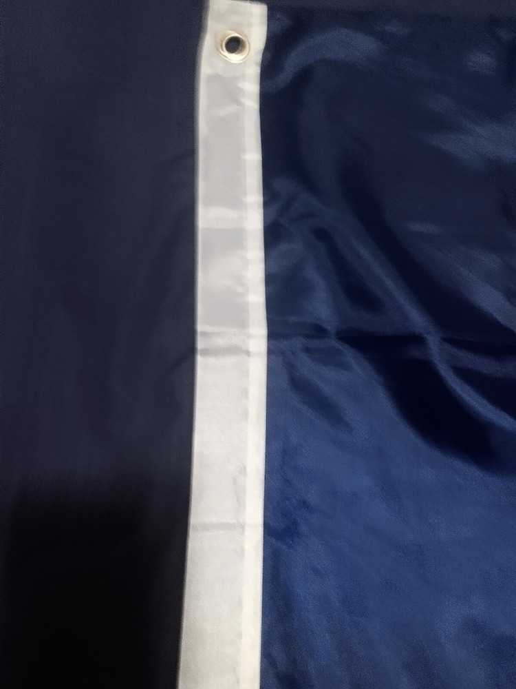 alaska state flag