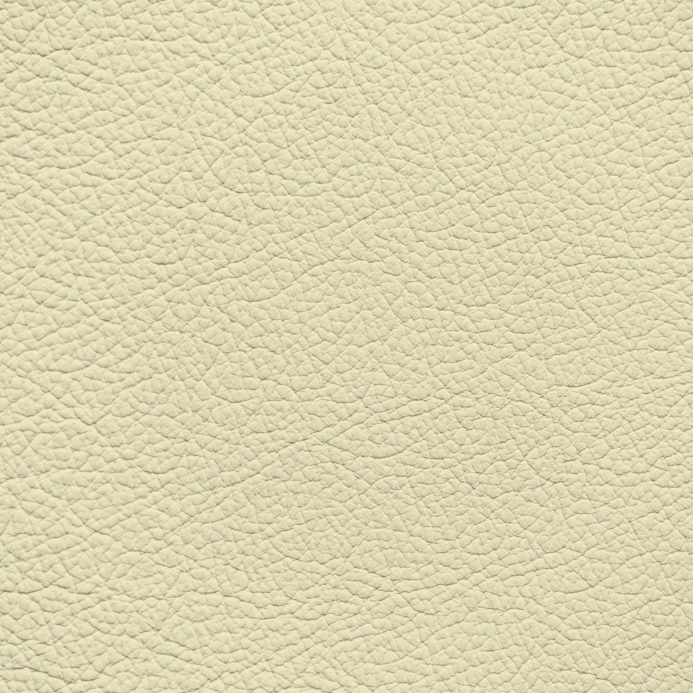 Audi Vanilla Leather Dye