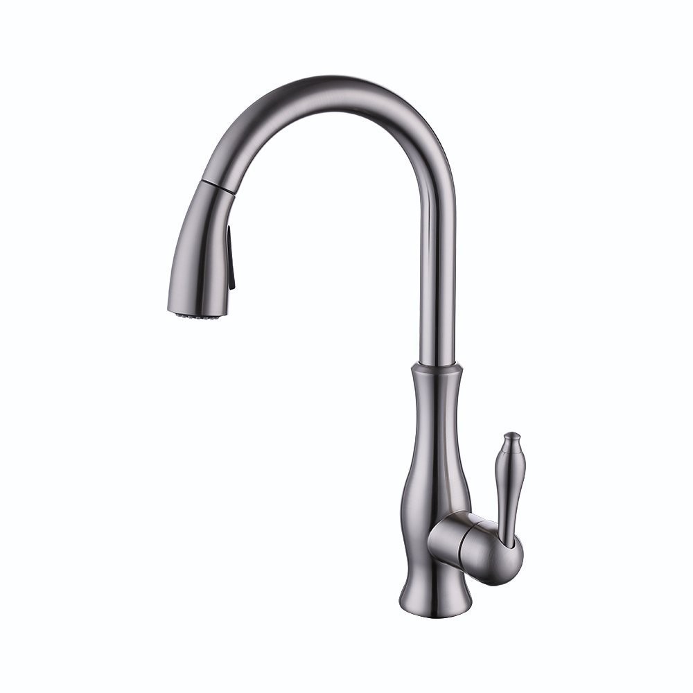 Weirun Kitchen Sink Faucet Pull-Out Spray Head Replacement Brushed Nickel