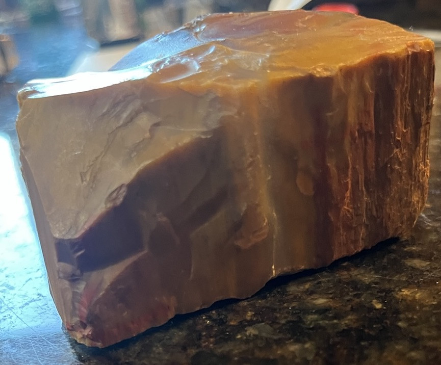 petrified wood rough
