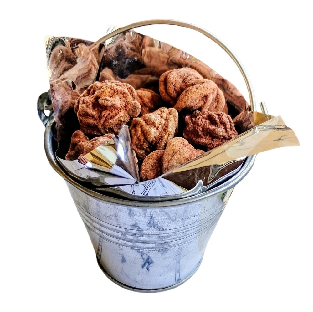 Oklahoma Barite Rose Rock Pail w/ Activity Book