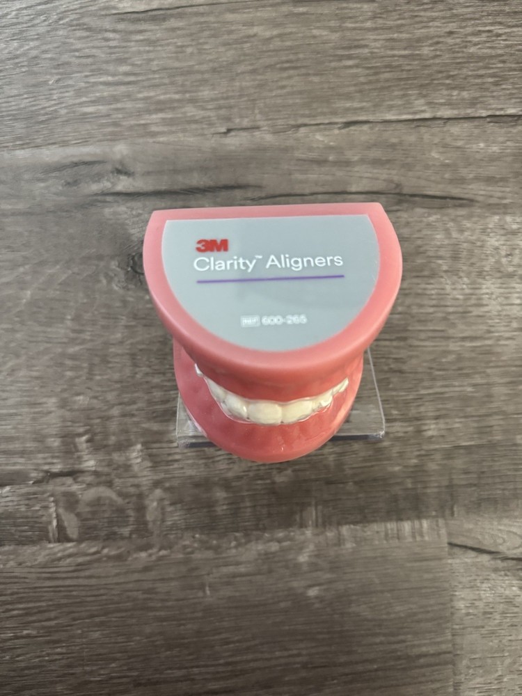 3M Clarity Aligner Typodont