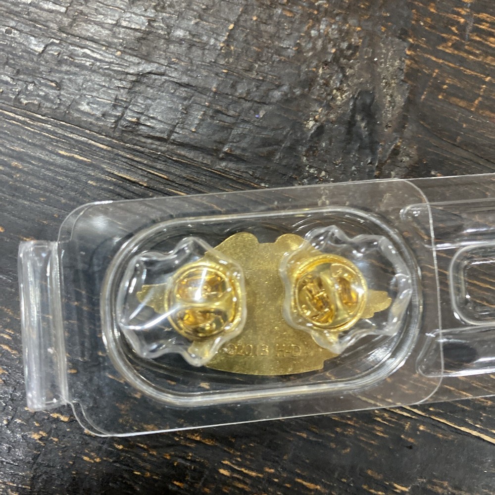 NEW Harley Davidson Owners Group Member Embroidered Eagle Patch & Gold Pin