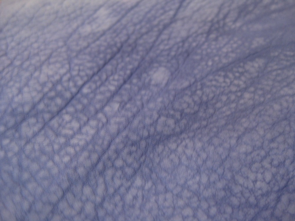 Top Grain Buffalo Leather # 0012456 ROW 32