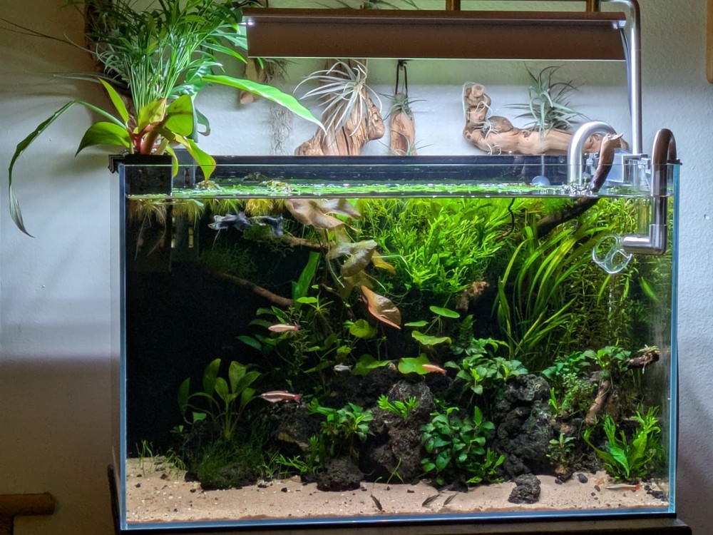 aquarium plant root tabs-40 pieces