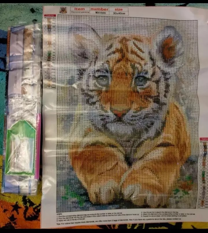 Diamond Art Kit 30×40 Cm