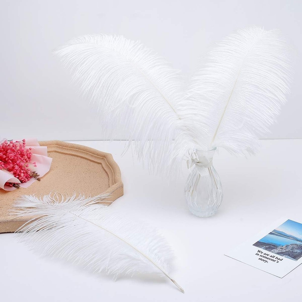 Luxurious Large White Ostrich Feathers - 24pcs for Weddings & Party Centerpieces