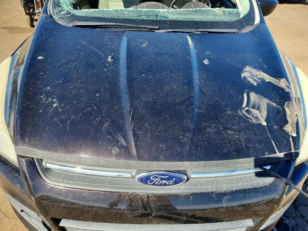ESCAPE 2013 Accelerator Parts OEM