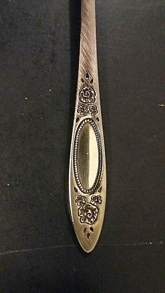 Oneida Vignette Stainless Oval soup spoon 6 7/8"