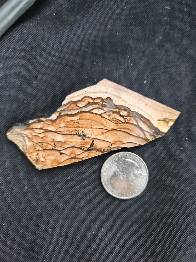 Biggs Jasper Slab (122 grams)