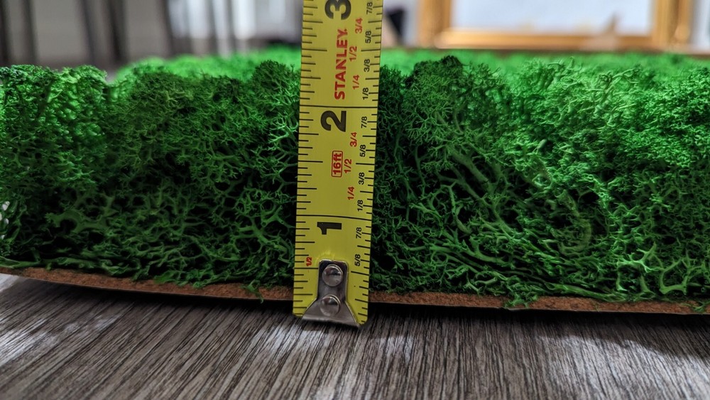 Preserved Moss