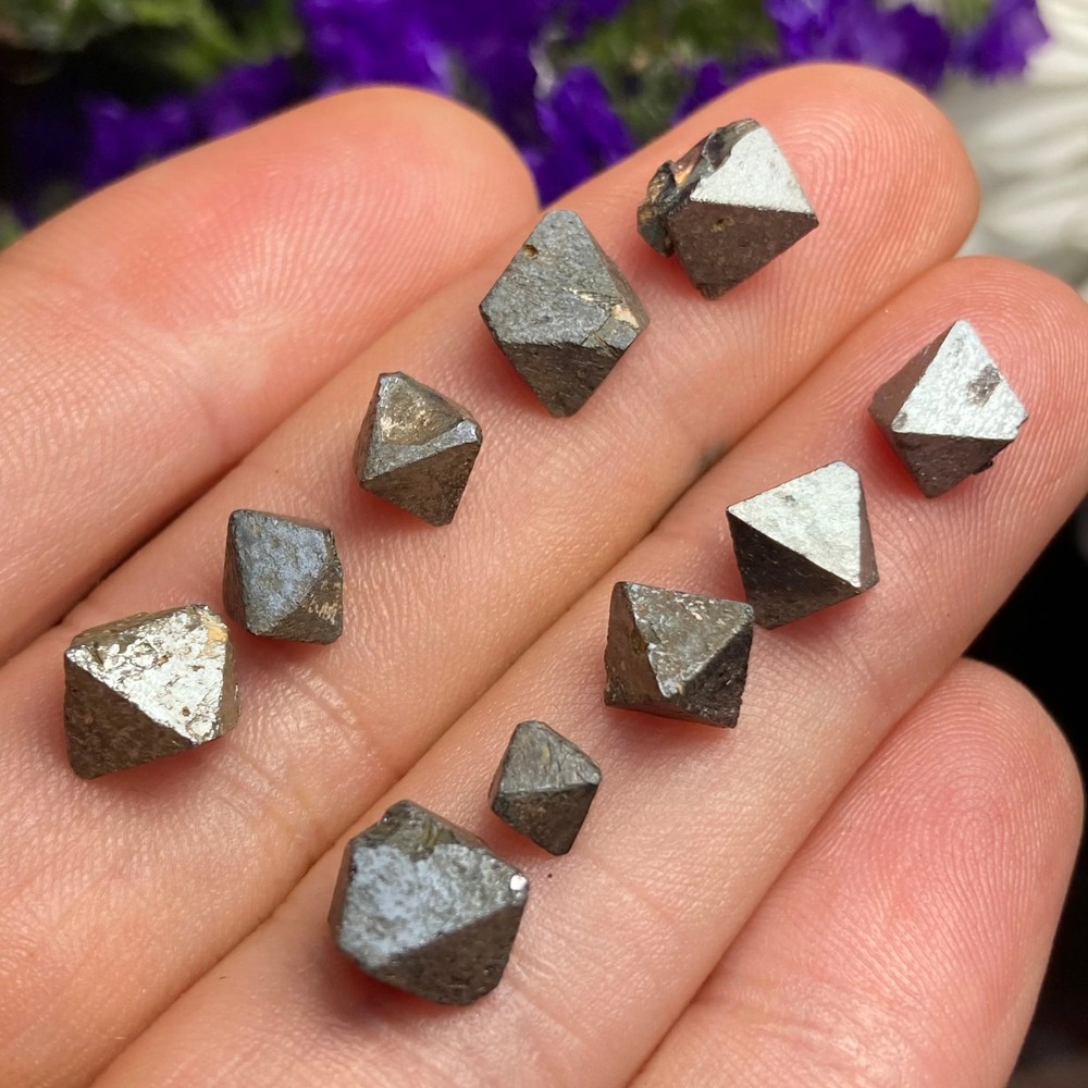 Magnetite Specimens (Set of 5)