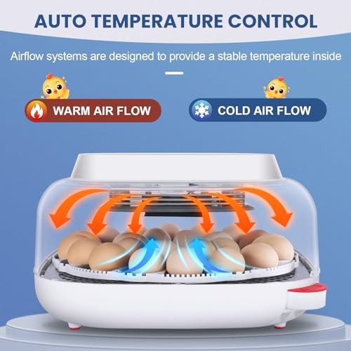 24 Eggs Incubator for Chicken Eggs with 4 Modes, 360° View Incubator Sky Blue