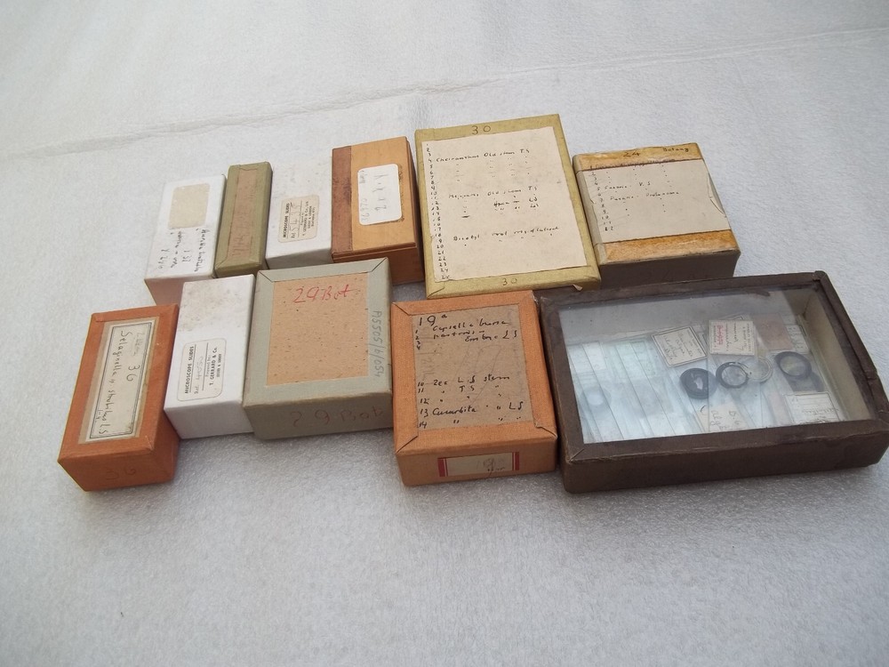 Vintage Glass Microscope Slides - As shown