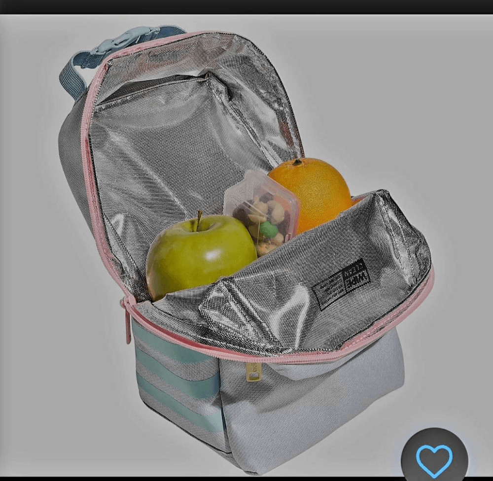 NWT ADIDAS LUNCHBAG