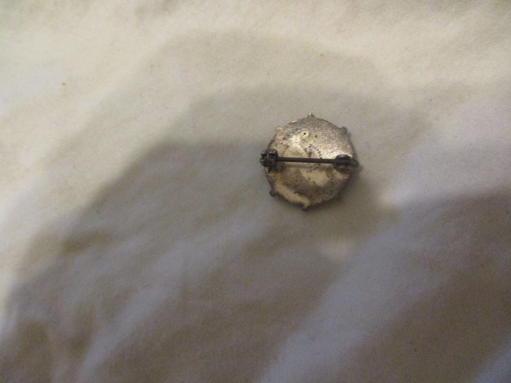 LIFE SAVING CORPS A.R.C. PIN