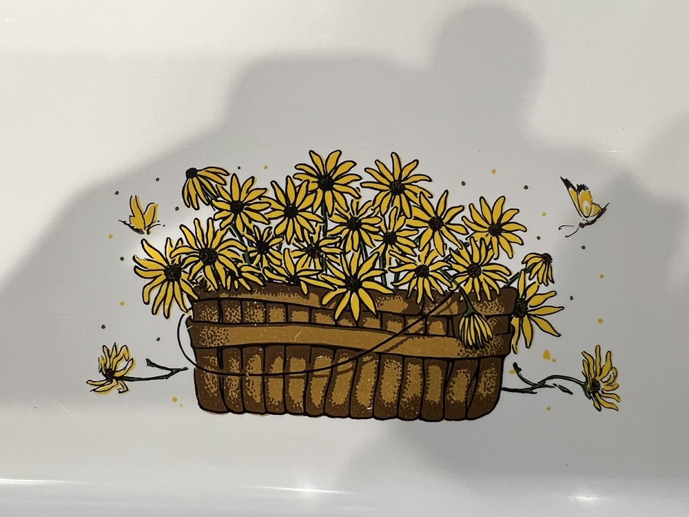 RARE Sterilite Trays-8