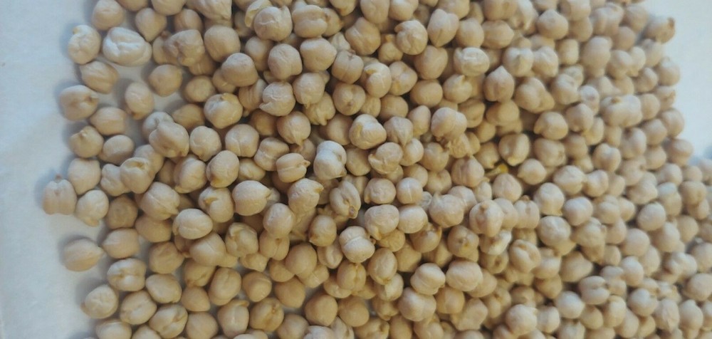 Bulk Dried Chick Peas (Garbanzo Beans) - 4 lb