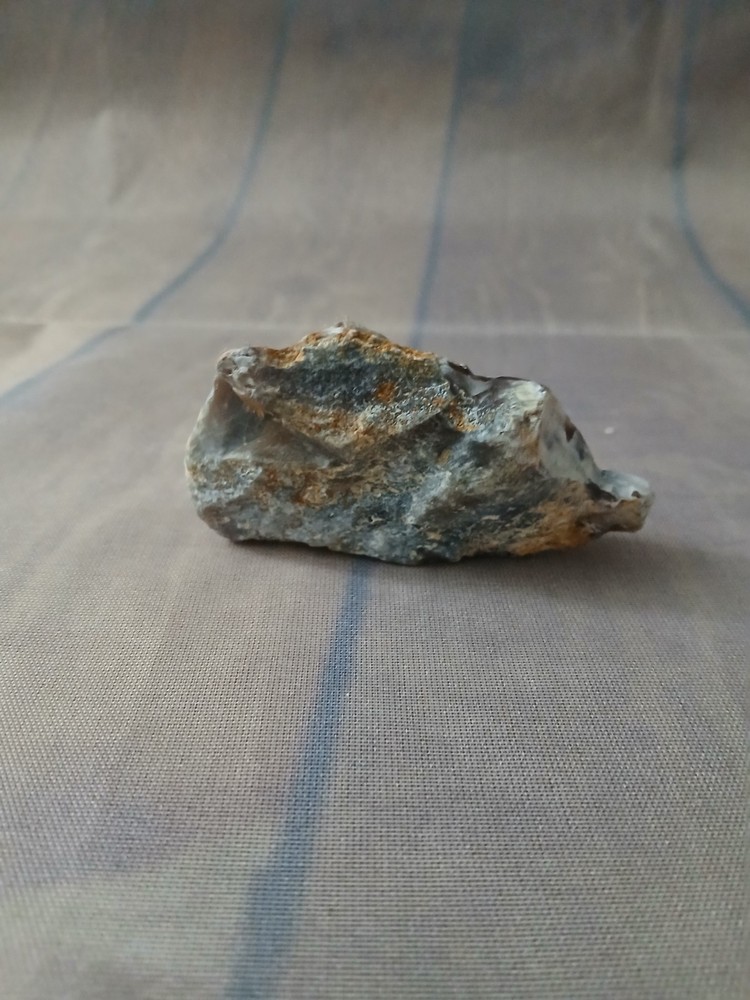 Petrified Wood Small
