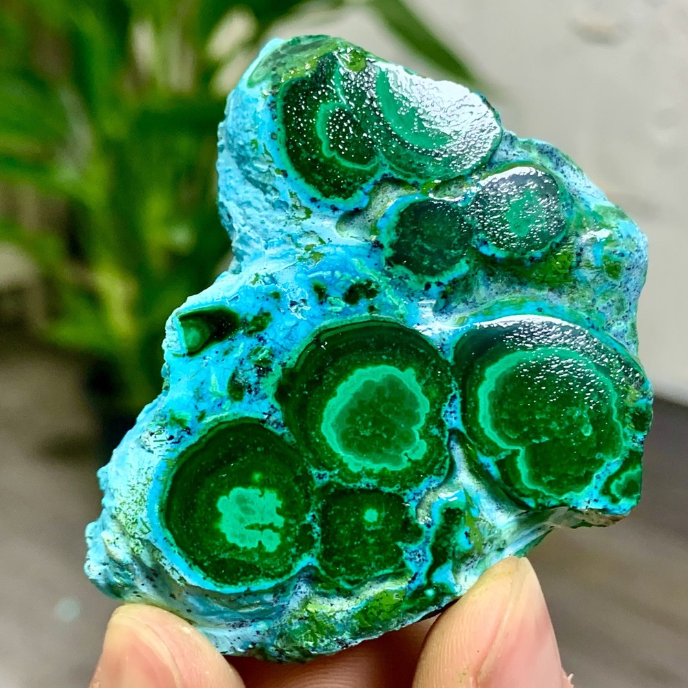 95G Natural Chrysocolla/Malachite transparent cluster rough mineral sample