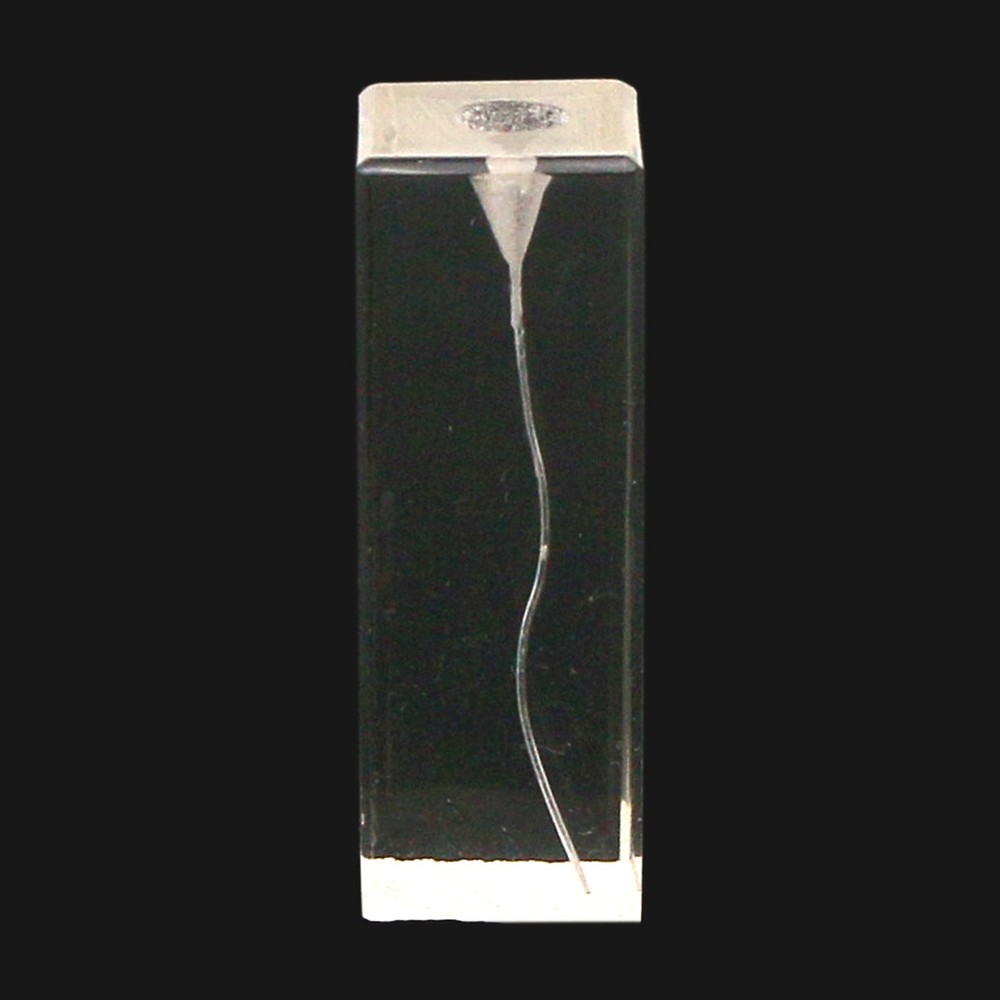 10Pcs Dental Root Canal Teeth Study Model Endodontic Rotary Files Practice Block