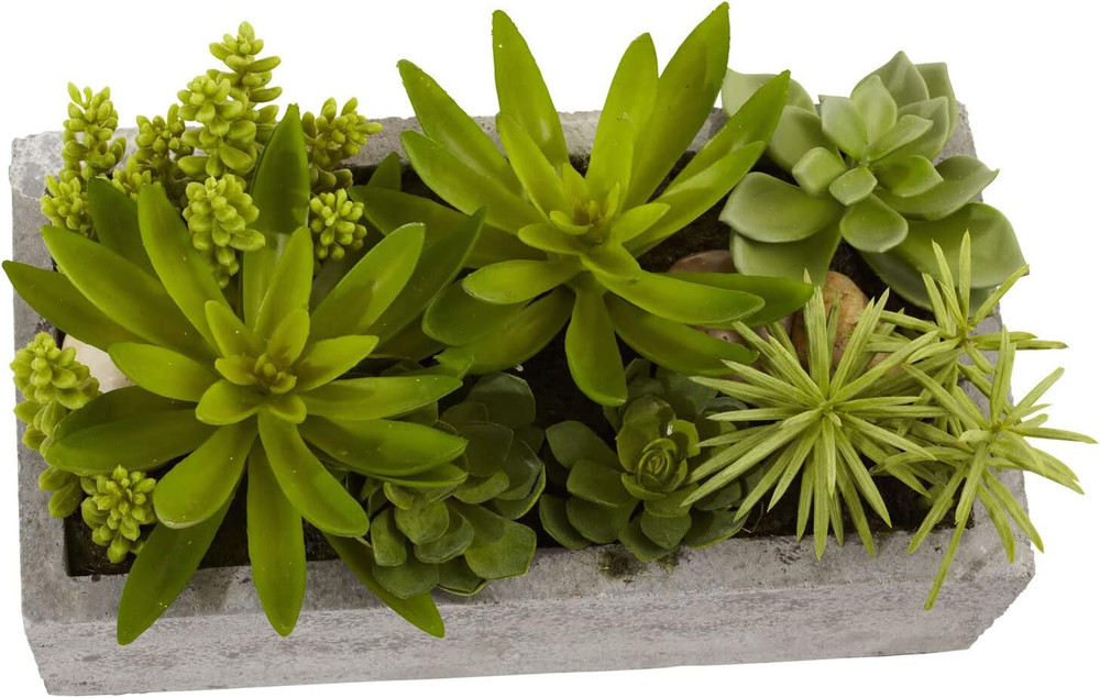 Succulent Garden with Concrete Planter