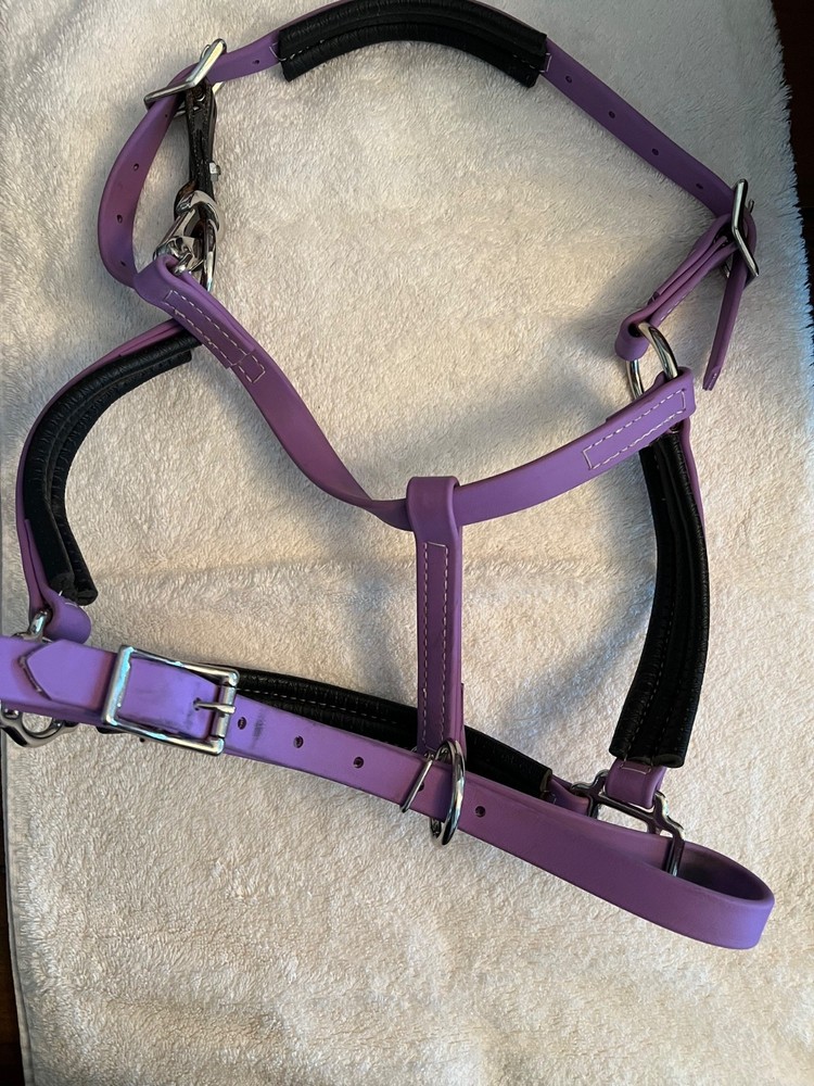 Neoprene Yearling Halter