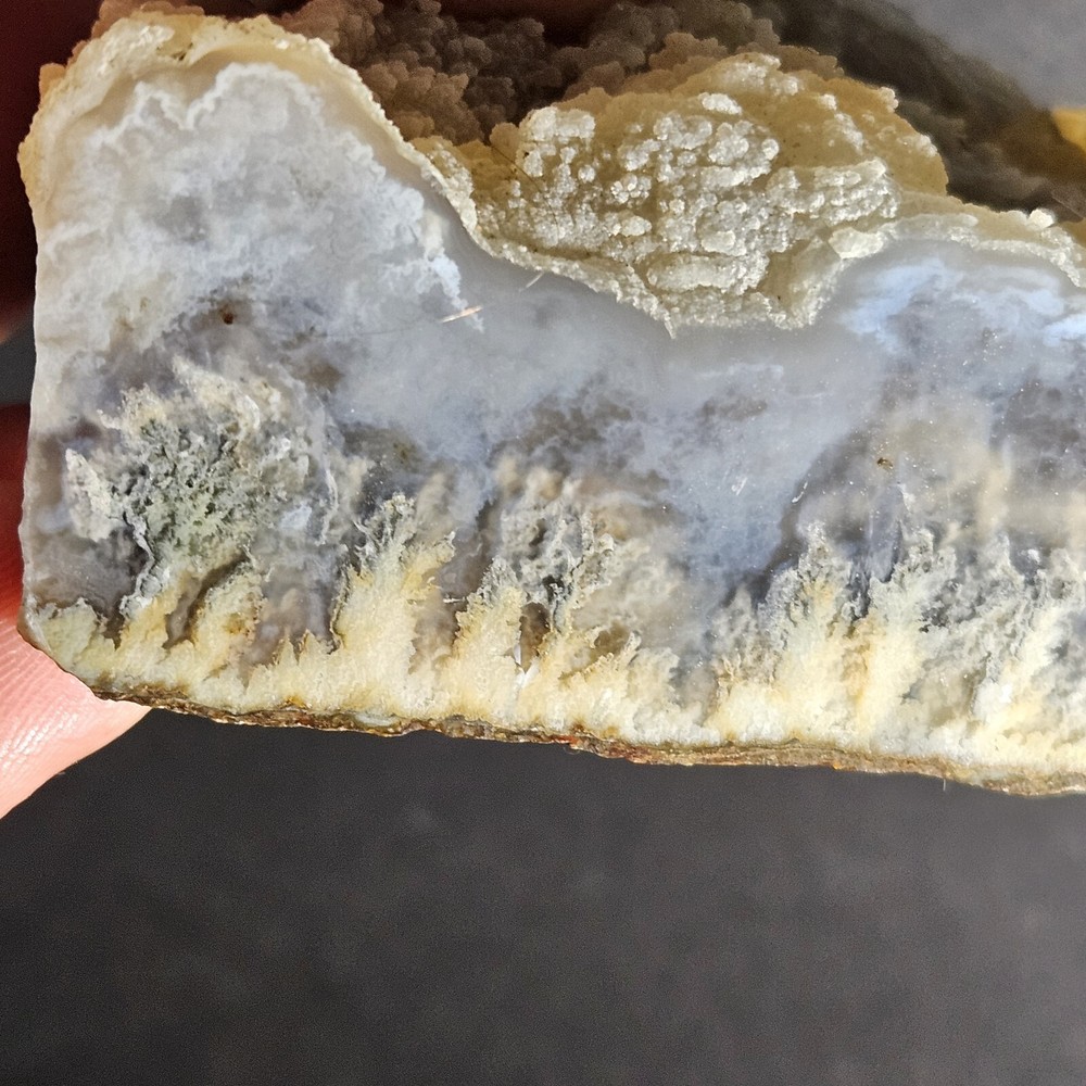 Polished Plume Agate Rough Display Specimen 429 Grams