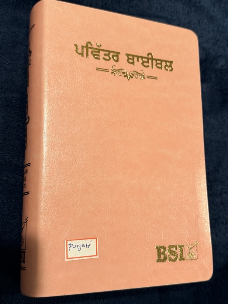 Punjabi Bible