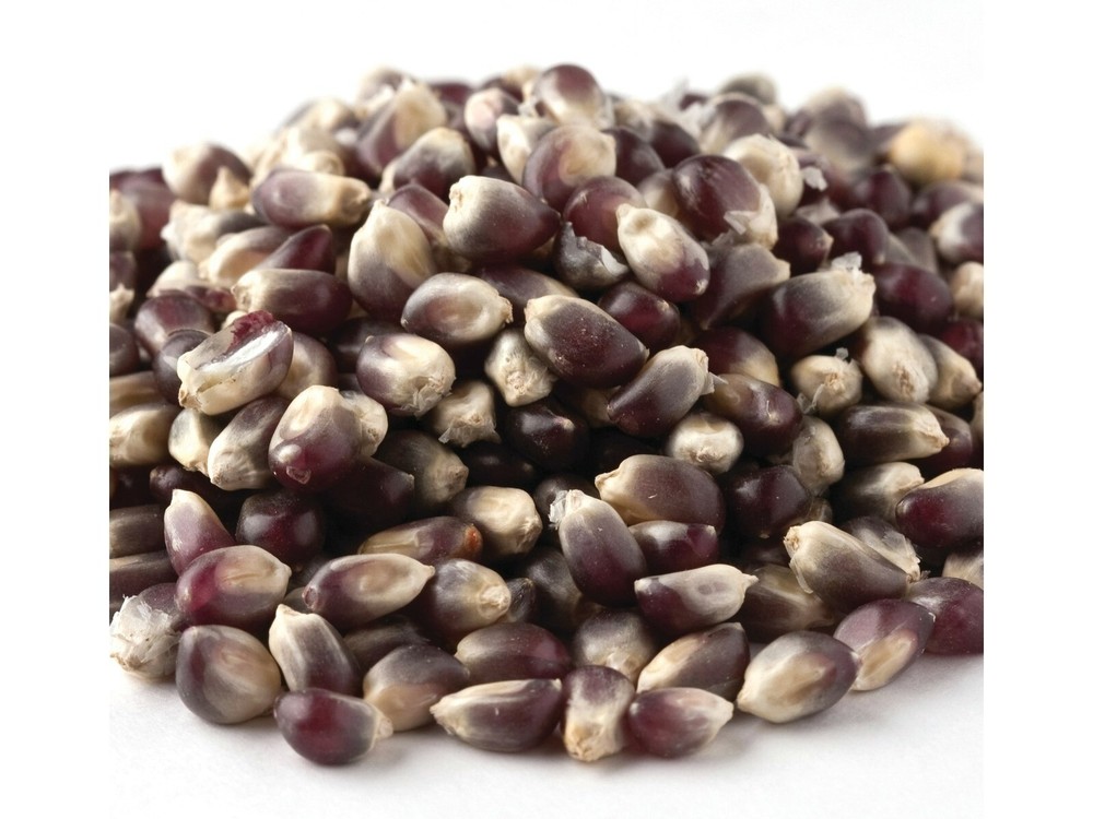 Blue Bulk Popcorn 1 Pound Popcorn Kernels