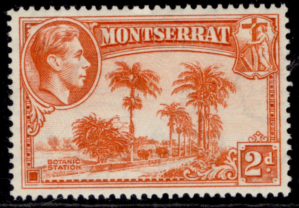 MONTSERRAT GVI SG104a, 2d orange, M MINT.
