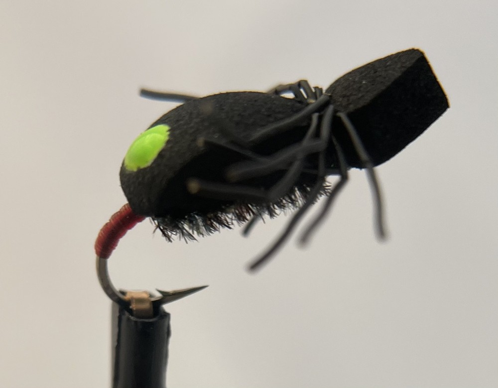 Hot Spot Foam Beetle