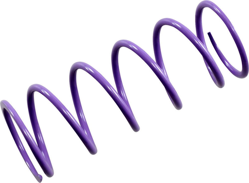 EPI Purple Primary Clutch Spring (PATV4)