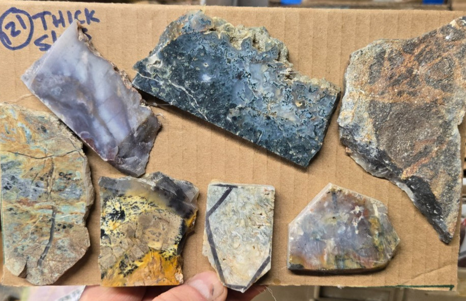Assorted Agates, THICK Trimmed Cabochon Slabs Preforms 7 Pcs, Flat 121