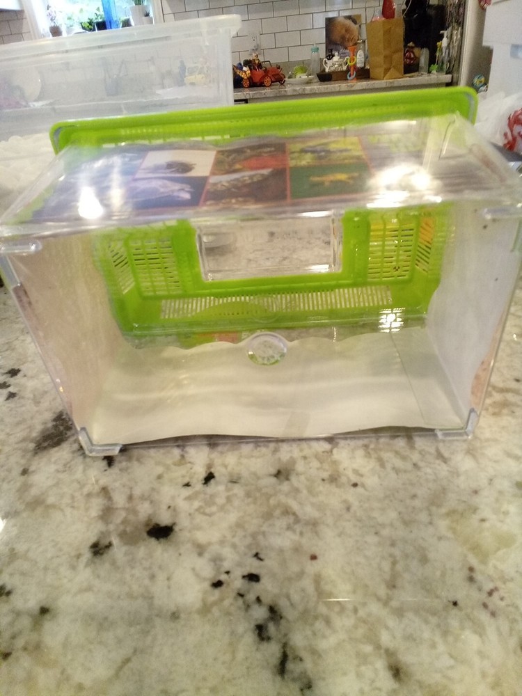 Toysmith Backyard Water Hut