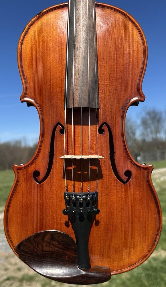 Powerful Guarneri 5-String Violin Pro-Setup Fiddle 4/4