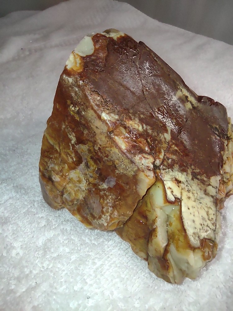 Washington State Raw Fire Opal 1.15 Lbs Spectacular Self Sourced
