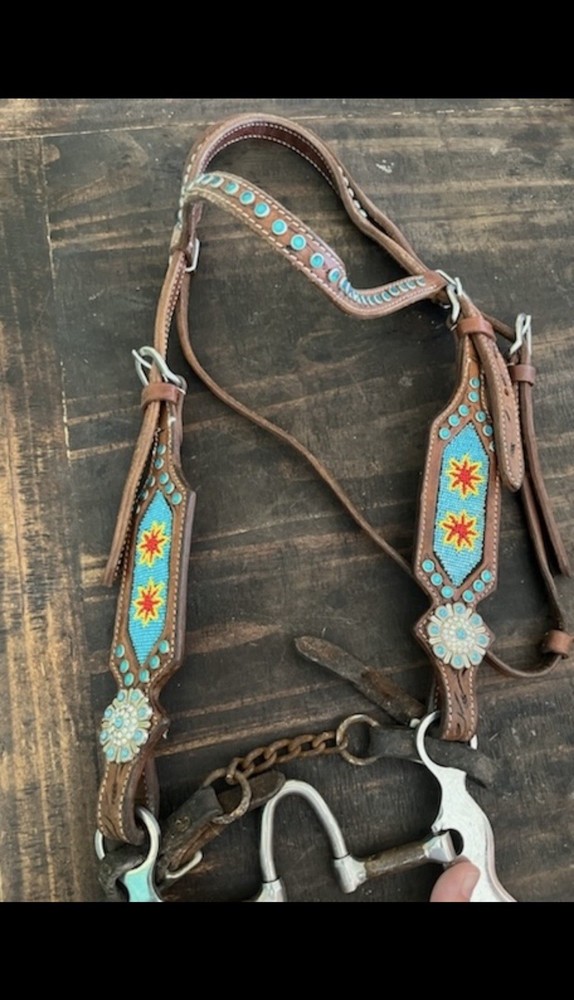 Mike Beers High Port Bit With Headstall