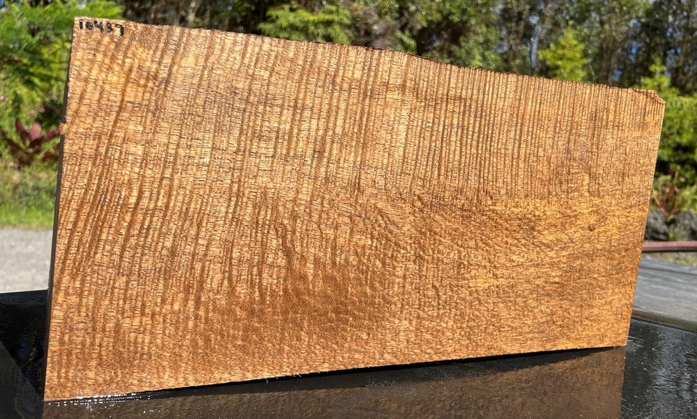 Hawaiian Curly Mango Board #10437