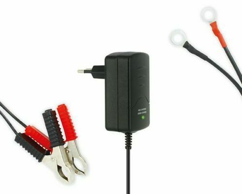 12V 0.8A Automatic Maintenance Charger Computer Battery Recovery