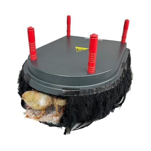 Chick Brooder Heating Plate with Comfort Feathers, Chicken Coop Warmer Pad