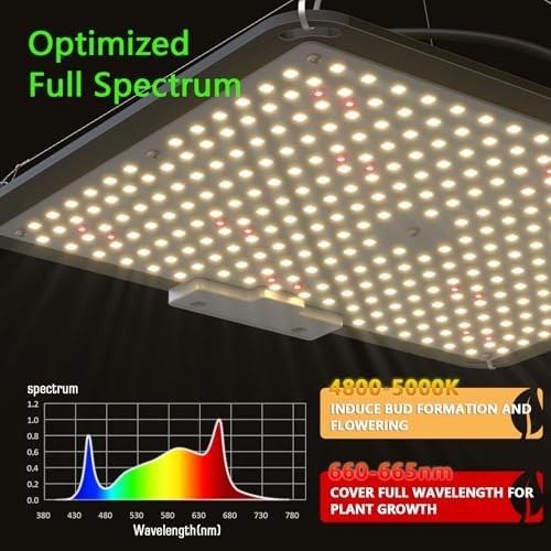 S1000 LED Grow Light for Seed Starting Vegetables Bloom, High PPF White & Red